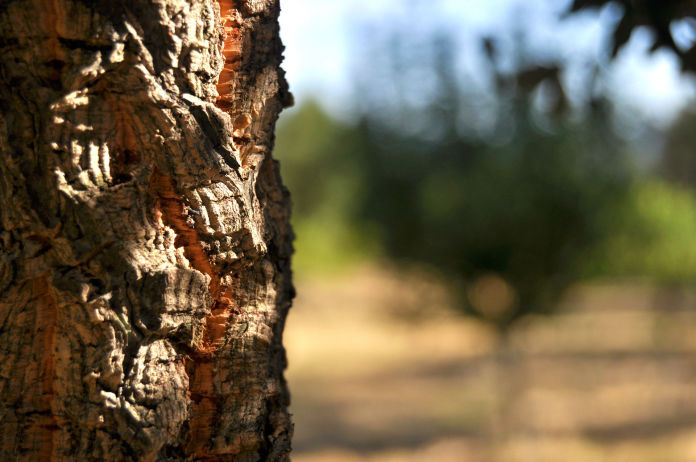 Naturaleza Extremadura
